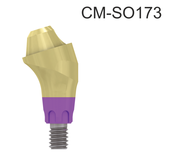 102375_CM-SO173