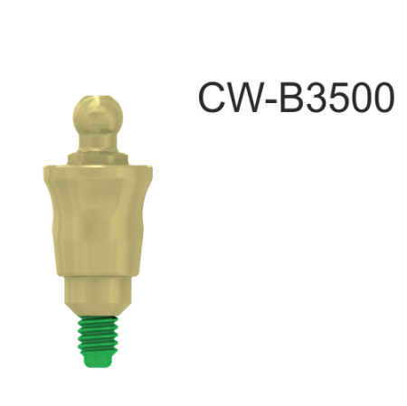 CW-B3500