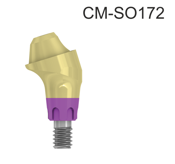 102375_CM-SO172