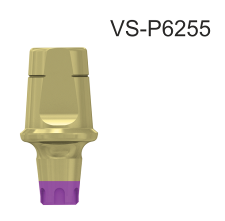 22765_VS-P6255