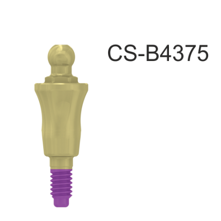 CS-B4375