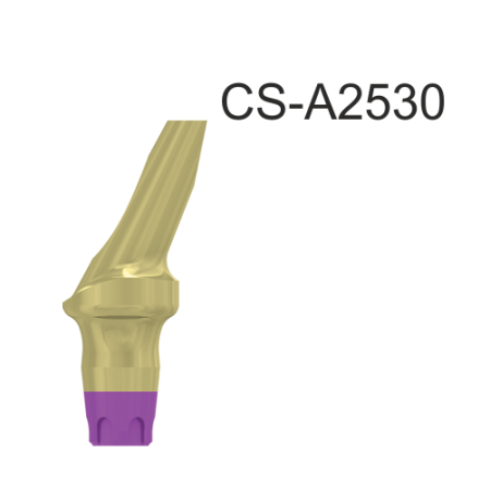 22720_CS-A2530