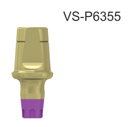 22765_VS-P6355