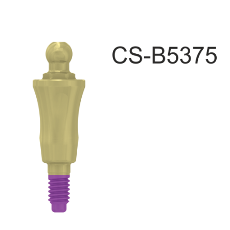 CS-B5375
