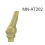 101204_MN-AT202
