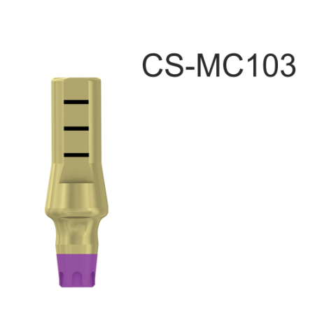 23080_CS-MC103