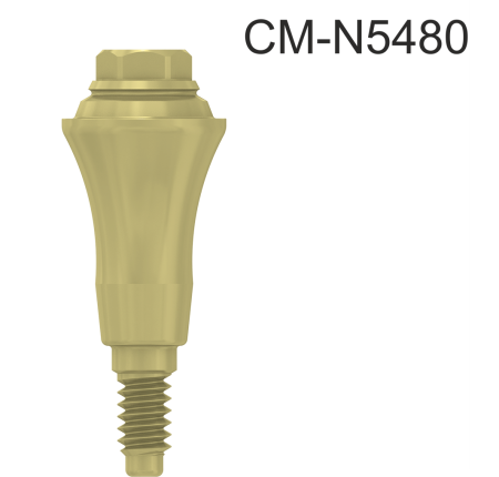 102406_CM-N5480