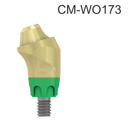 102375_CM-WO173