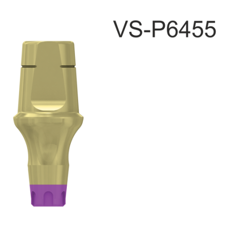 22765_VS-P6455