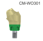 102375_CM-WO171