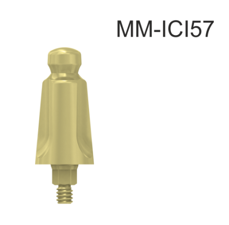 101070_MM-ICI57