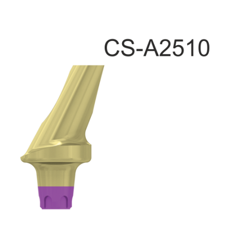 22720_CS-A2510