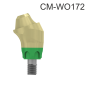 102375_CM-WO171