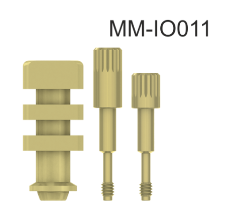 100980_MM-IO011