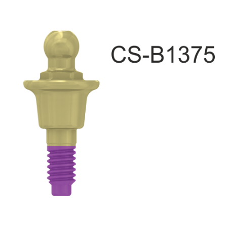 CS-B1375