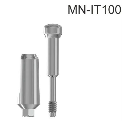 21465_MN-IT100