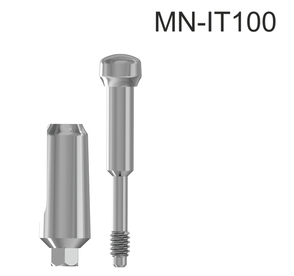 21465_MN-IT100