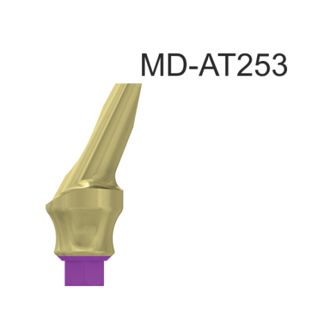 21473_MD-AT253