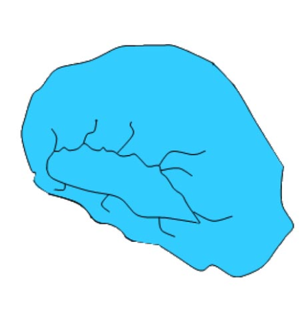 00-00101860