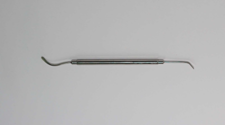 ГЛАДИЛКА серповид.  Томск