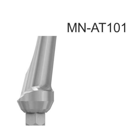 101204_MN-AT101