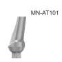 101204_MN-AT202