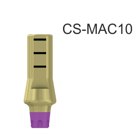 23080_CS-MAC10