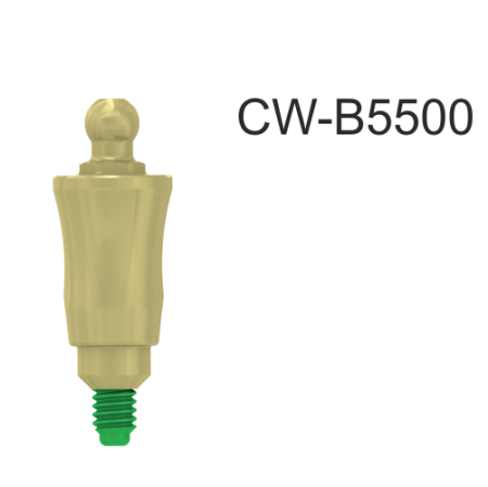 CW-B5500