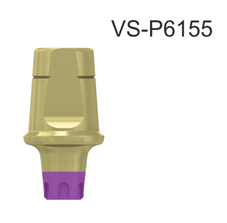 22765_VS-P6155