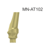101204_MN-AT202