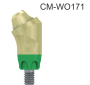 102375_CM-WO171
